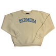 Load image into Gallery viewer, Collegiate letters crewneck sweatshirt