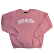Load image into Gallery viewer, Collegiate letters crewneck sweatshirt