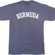 Load image into Gallery viewer, Collegiate letters short sleeve