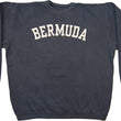 Load image into Gallery viewer, Collegiate letters crewneck sweatshirt